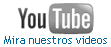 Galeria Videos